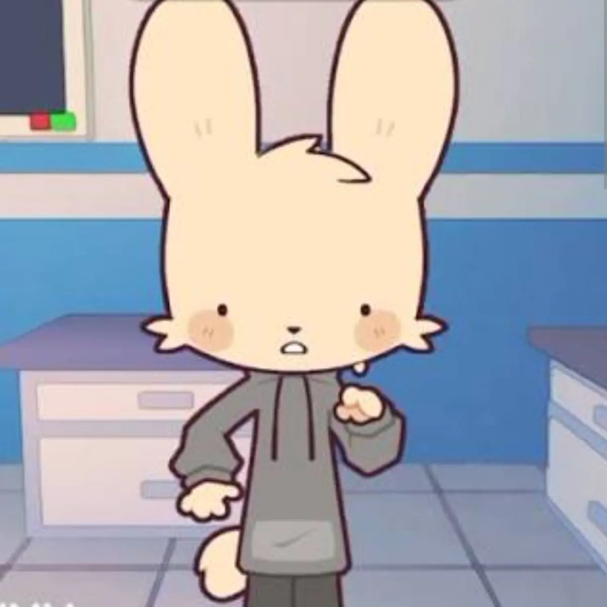 Ckoory의 동물병원 변칙성🦠