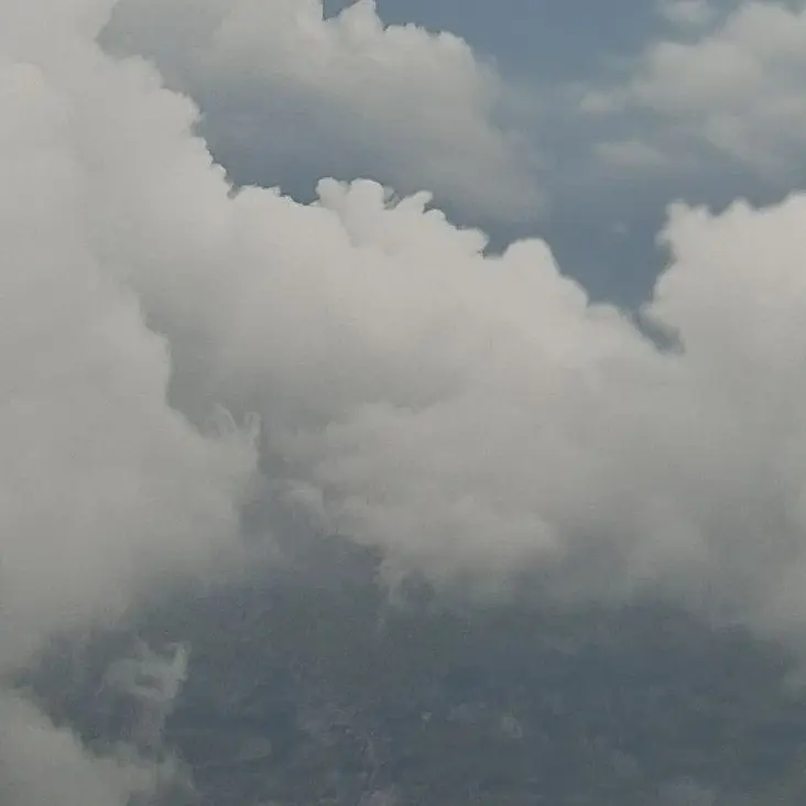 SmugLever7604의 '머리의 색이 이제 사귀는거라고?!'