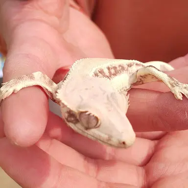 Profile image of 유저