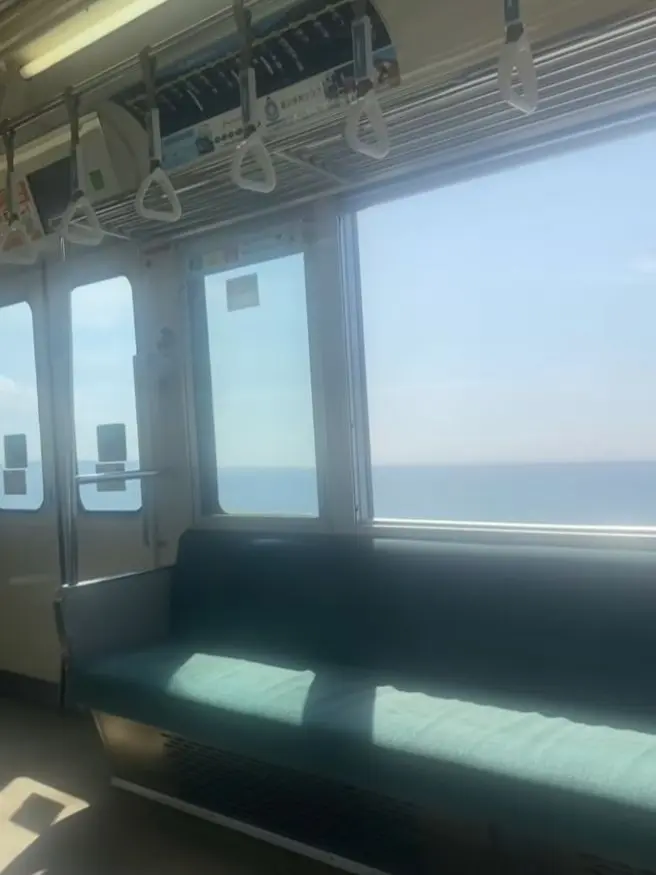 PuristPlush2580의 전철에서 마주치는 소년