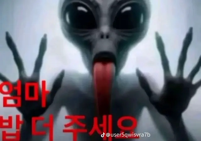 Profile image of 나여우