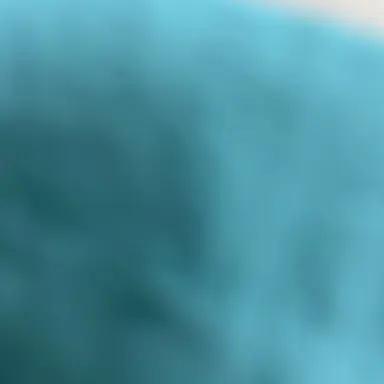Profile image of 러시아