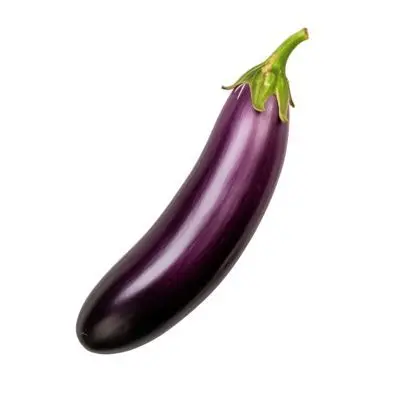 PlumBone2183의 가지