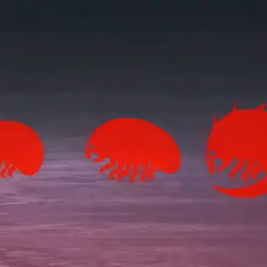 Profile image of 트리밍