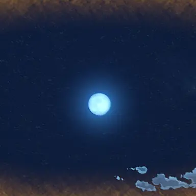 Profile image of 선생님