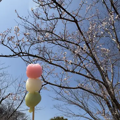 Profile image of 加賀美ハヤト