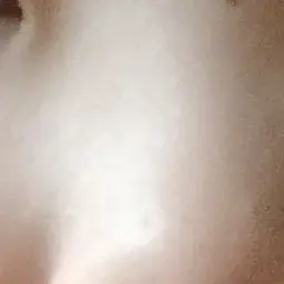 VolcanicPrecious의 여우