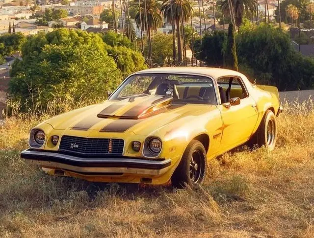 Profile image of Bumblebee