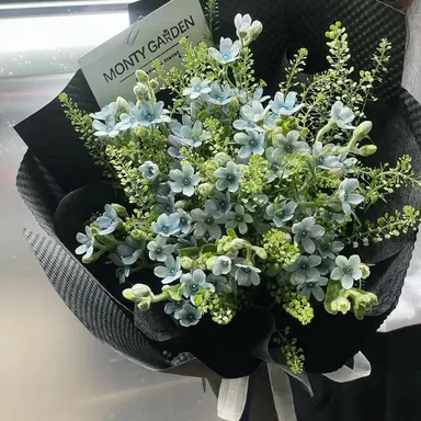 Profile image of 티푸