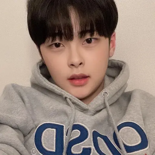 asahi0987의 승비니