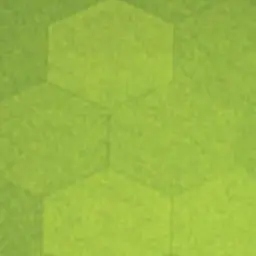 Profile image of 김하늘