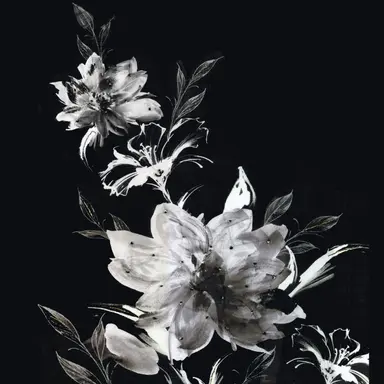 Profile image of 찬스