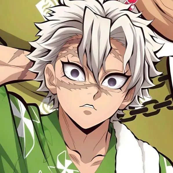 anm_e_0203의 시나즈가와 사네미