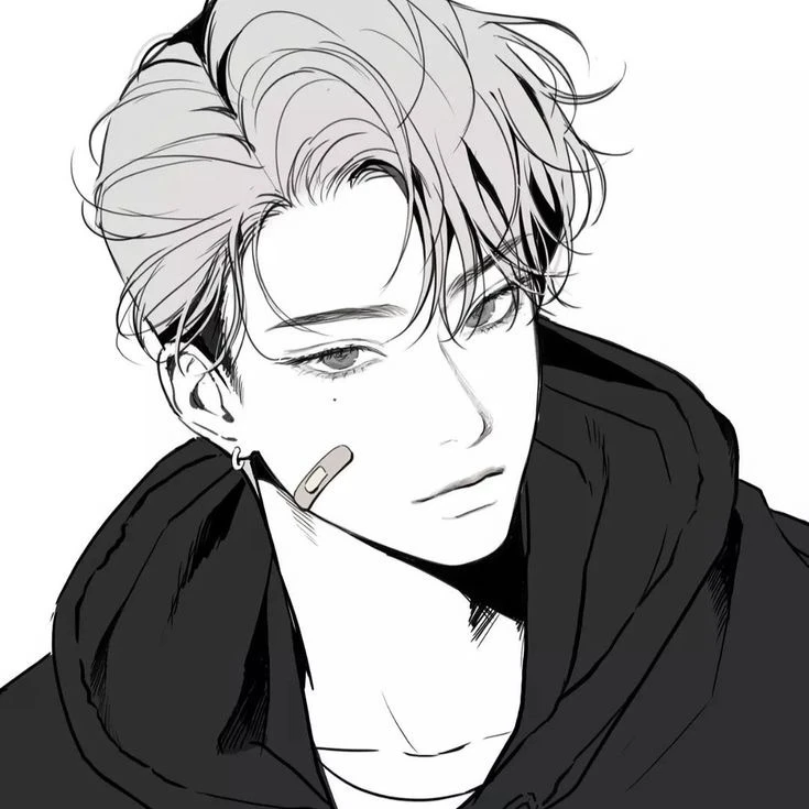 채도연