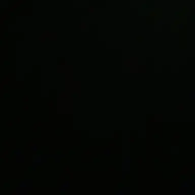 Profile image of yj
