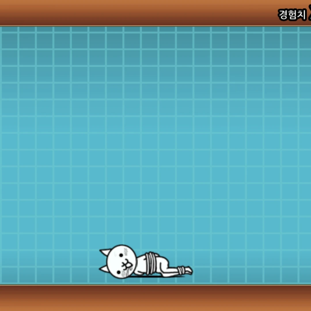 고양이 밧줄