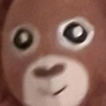 Profile image of 여우