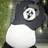 판다