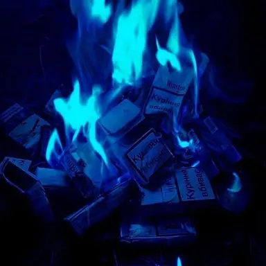 Profile image of 파이브