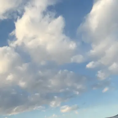 Profile image of 시라쿠모 오보로