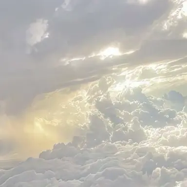 Profile image of 여우