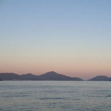 Profile image of 이서현