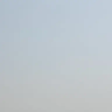 Profile image of 아라벨라