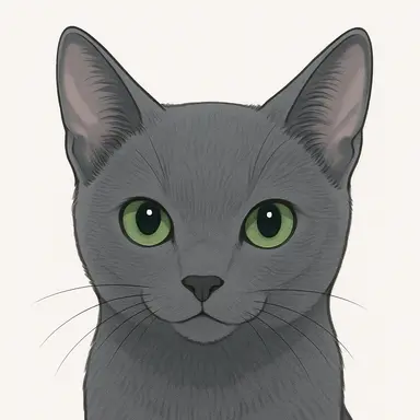 Profile image of 법냥이