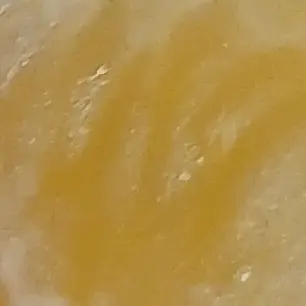 Profile image of 강연우