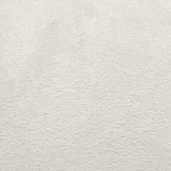 Profile image of 발부르가