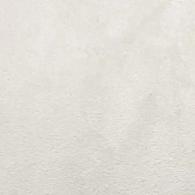 Profile image of 레귤러스