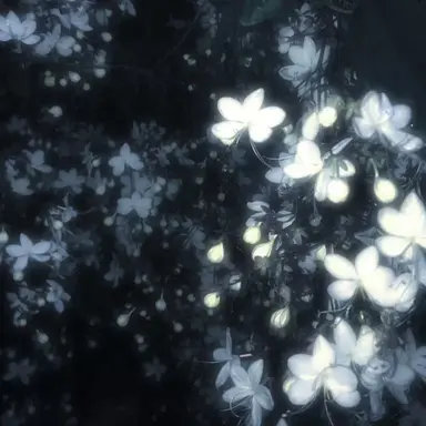 Profile image of 시미베