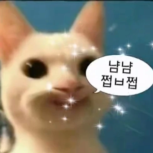 고양이