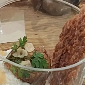 Profile image of 渡辺空飛