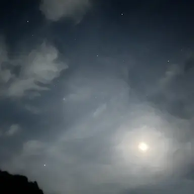 Profile image of 아빠