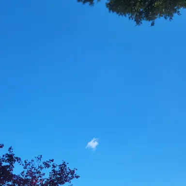 Profile image of 예지