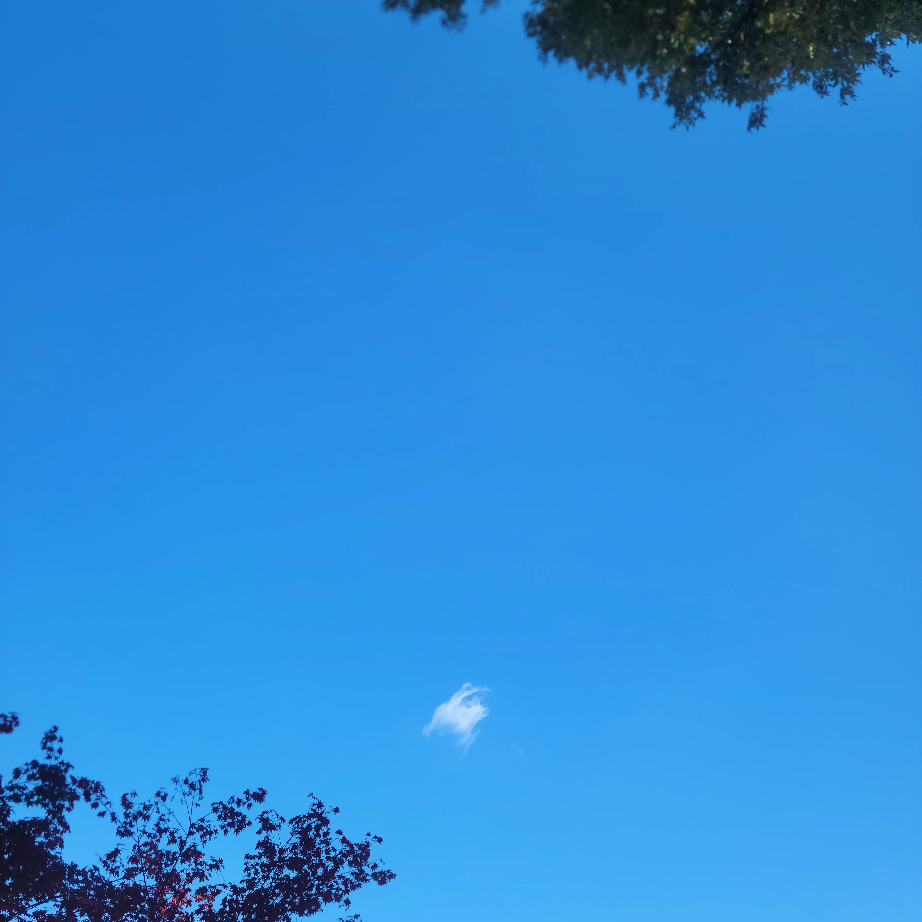 VagueHand0772의 당신은 오늘의가족에 예지