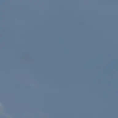 Profile image of レイラ