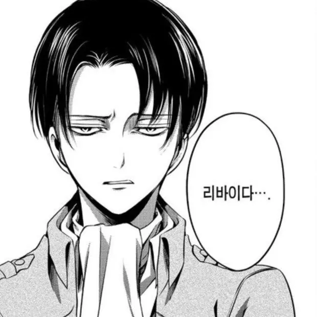 SnarlyGenet7409의 리바이 아커만