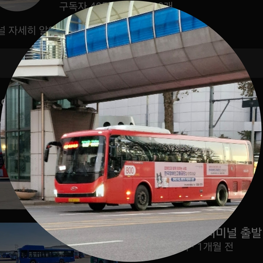 강화교통 800번 대표 이미지