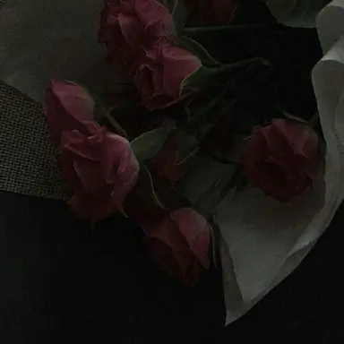 Profile image of 서라더