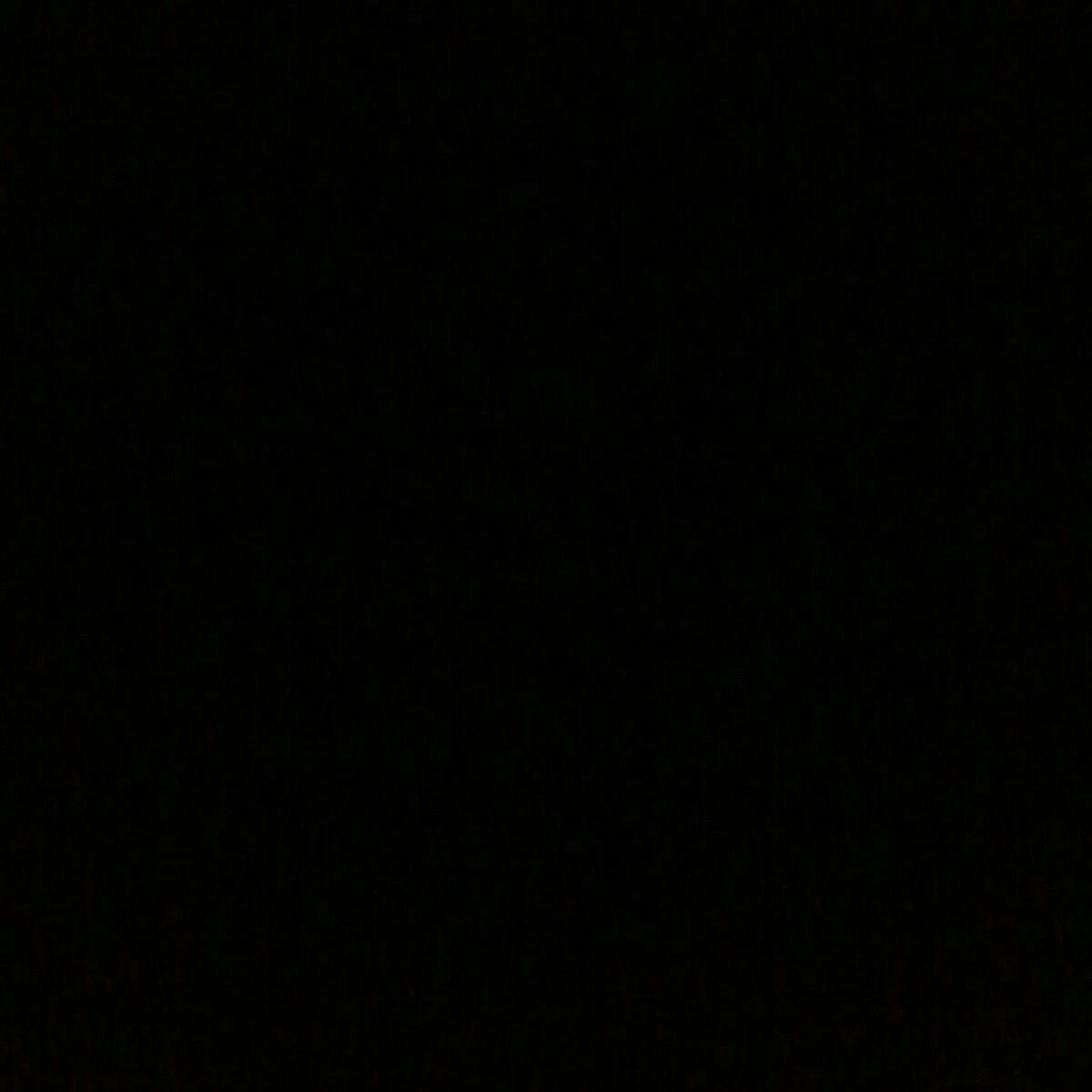 人気ホスト