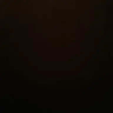 Profile image of 龍星