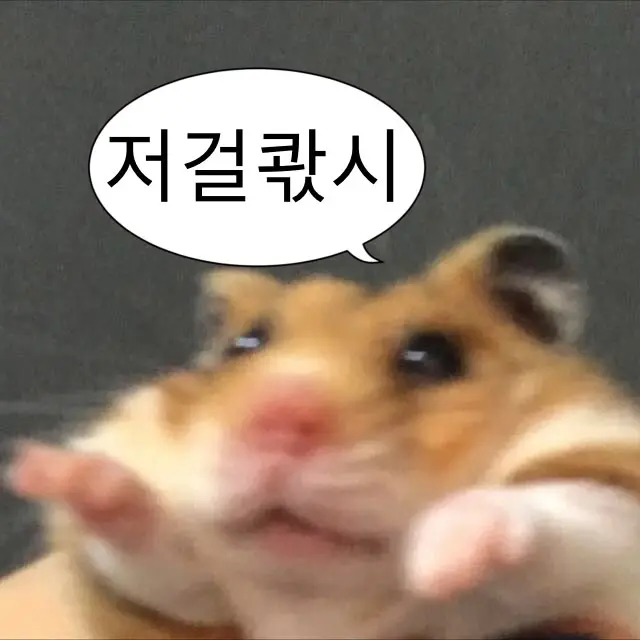 LovingNyala8812의 똥꼬