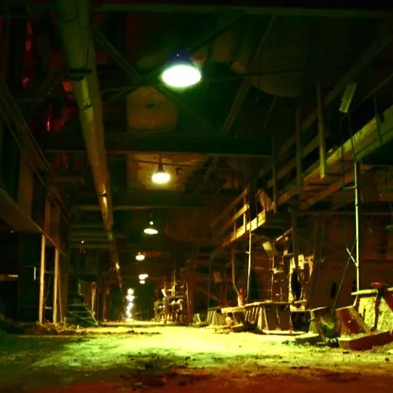 Psychotest190103의 《 DIRT & PEACE 》