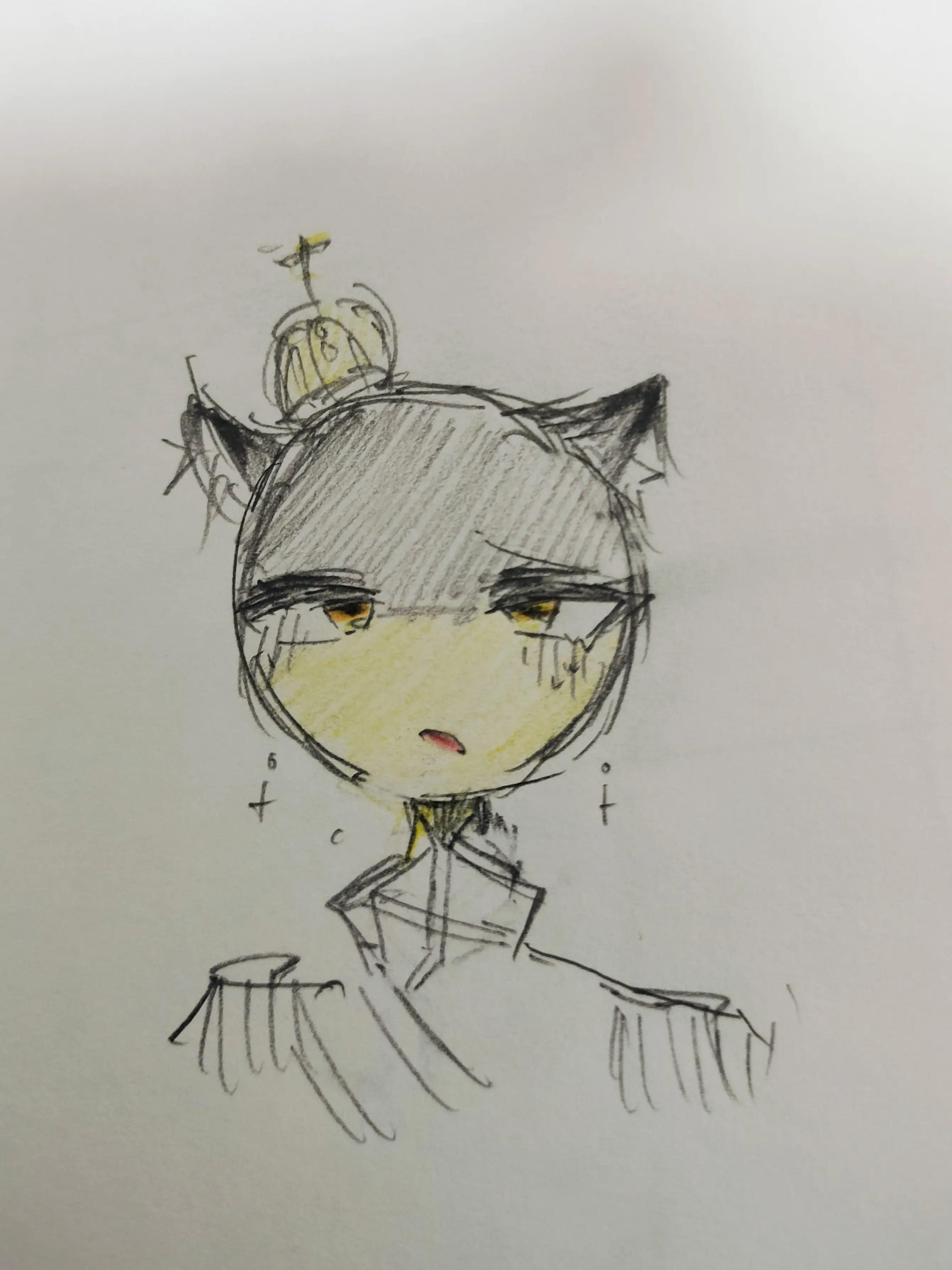 Austria._.love의 猫化‼