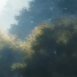 Profile image of 道枝駿佑先生