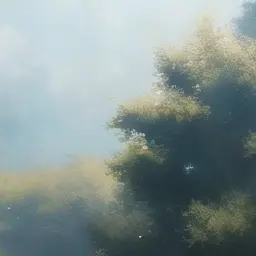 Profile image of 大西流星先生