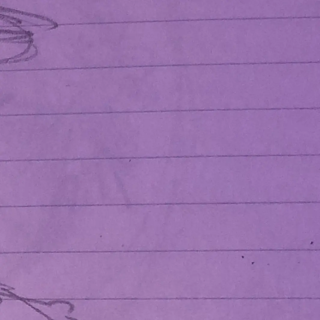 2525jp의 いっしょに猫の国達を愛でよう？