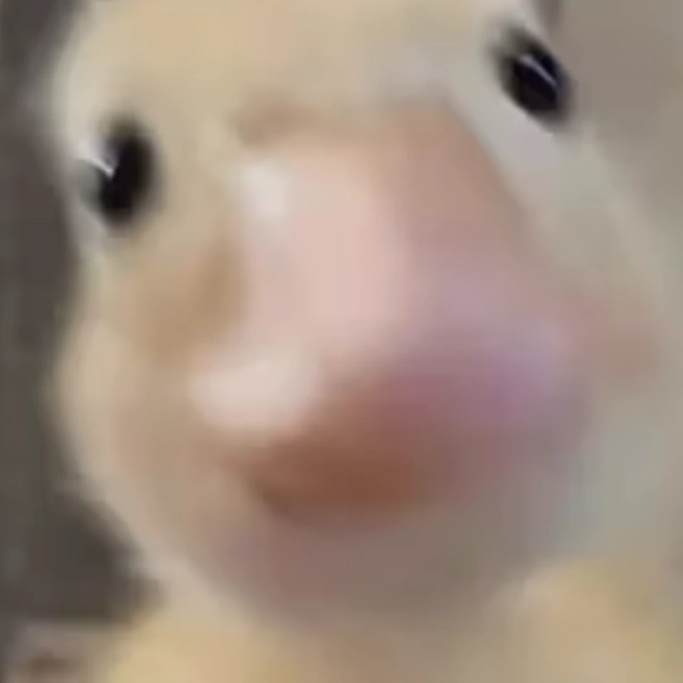 쉐어하우스